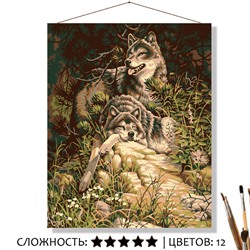 «ВОЛКИ»