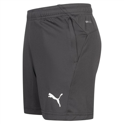 FC Valencia PUMA Kinder Training Shorts 756234-06