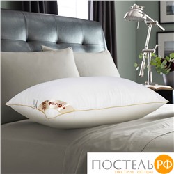 MF5070 код5040, Подушка Tango GOLD Бамбук, 50x70, Сумка на молнии (ПВХ)