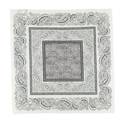 PINKO Scarves and foulards