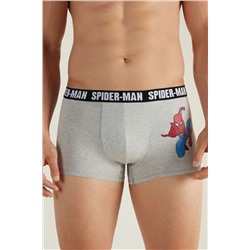 Baumwollboxer Spider-Man