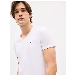 Slim Fit V-Neck T-Shirt