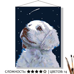 «ЗАГАДАЙ ЖЕЛАНИЕ»