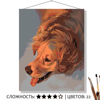 «РЫЖИЙ ПЁС»
