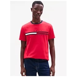 Embroidered Flag Stripe Logo T-Shirt