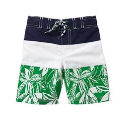 Palm Board Shorts