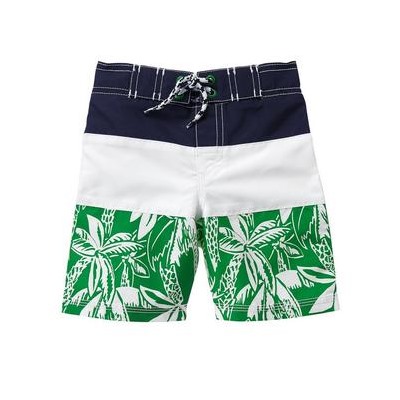 Palm Board Shorts