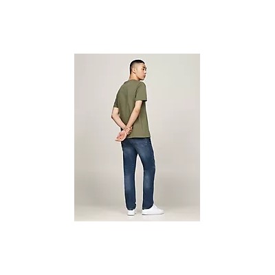 Embroidered Tommy Arch Logo T-Shirt