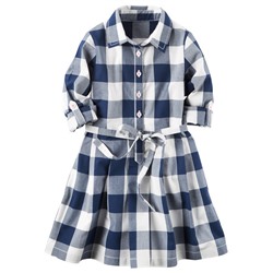 Gingham Poplin Shirt Dress