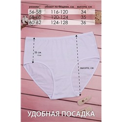 Трусы GL521 НАТАЛИ #889608