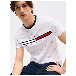 Signature Flag Stripe Logo T-Shirt