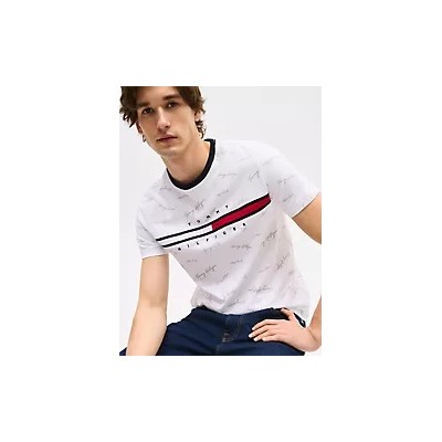Signature Flag Stripe Logo T-Shirt