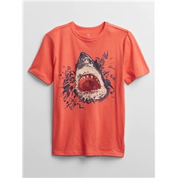Kids Graphic T-Shirt