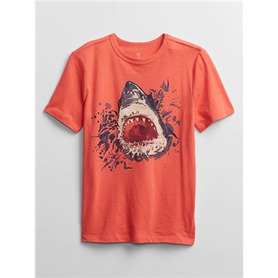 Kids Graphic T-Shirt