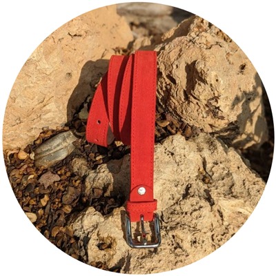 Ab.Z cinturón 160 rojo