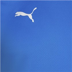 PUMA teamFINAL Herren Trikot 657379-02