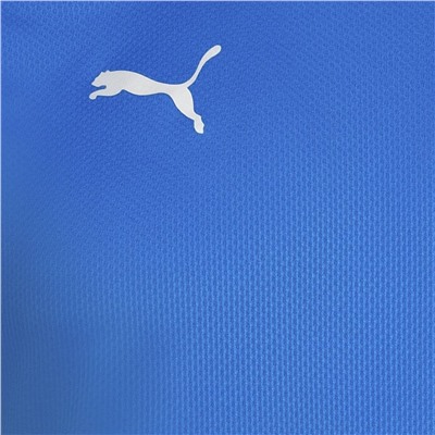 PUMA teamFINAL Herren Trikot 657379-02