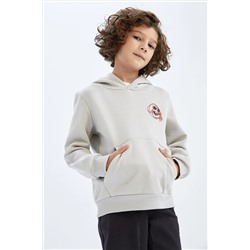 Defacto Erkek Çocuk Kapüşonlu Sweatshirt Y2607A622WN