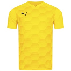 PUMA teamFINAL Graphic Jersey Herren Trikot 704150-07