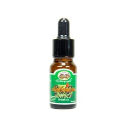Масло Payayor Абхайпхубет 10 мл / Abhaibhubejhr Payayor Oil 10 ml