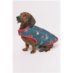 Chubasquero para perro