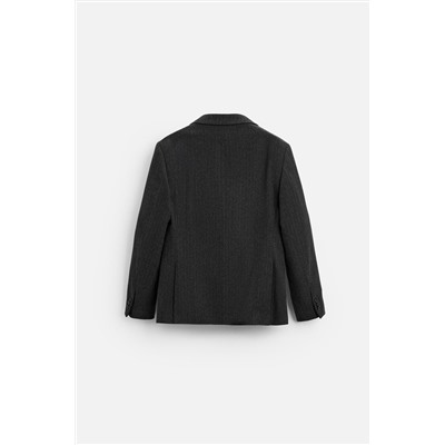 BLAZER TRAJE RAYA DIPLOMÁTICA