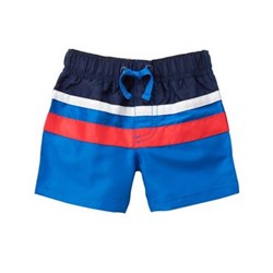 Striped Swim Shorts
