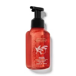 ORANGE GINGER Gentle Foaming Hand Soap