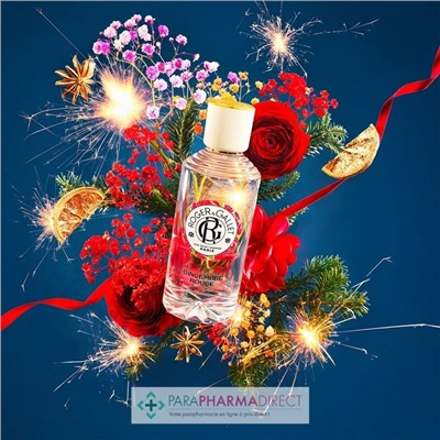 Roger & Gallet - Coffret Noël Bienfaisant Gingembre Rouge (Eau Parfumée 30ml + Savon 100g + Lait Corps 50ml + Crème Mains 30ml)