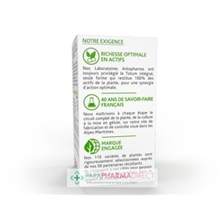ArkoPharma ArkoGélules - Thé Vert - Brûleur de Graisses - BIO 40 gélules