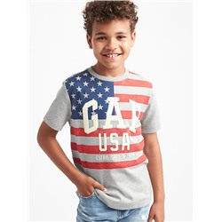 Flag and logo sueded tee