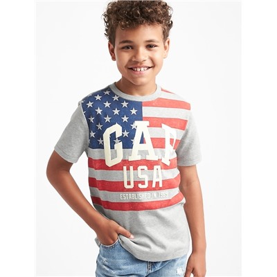 Flag and logo sueded tee
