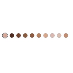 SIIA Cosmetics Seamless Fit Foundation Duo