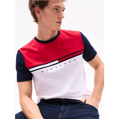 Colorblock Flag Stripe Logo T-Shirt