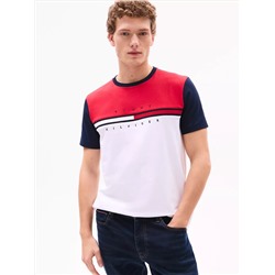 Colorblock Flag Stripe Logo T-Shirt