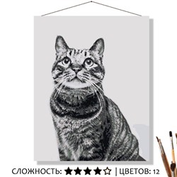 «ПОЛОСАТЫЙ КОТИК»