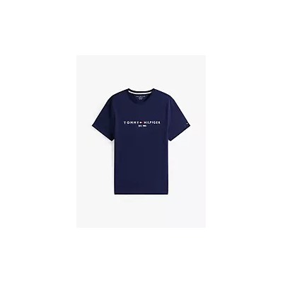 Embroidered Tommy Logo T-Shirt