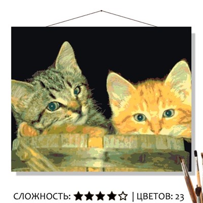 «КОТЯТА В БОЧОНКЕ»