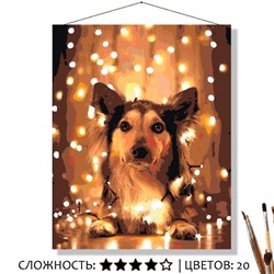 «ТЁПЛЫЙ СВЕТ»