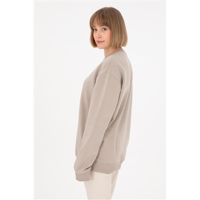 Erkek Taş Basic Sweatshirt