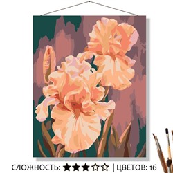 «РОЗОВЫЕ ИРИСЫ»