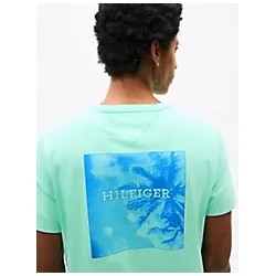 Tommy Island Graphic T-Shirt