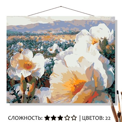 «ПОЛЕ БЕЛЫХ МАКОВ»