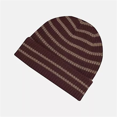 Unisex Winter Watchman Stripe Beanie