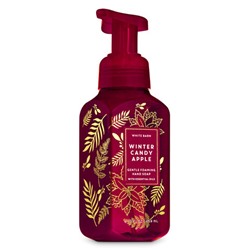 Winter Candy Apple


Gentle Foaming Hand Soap