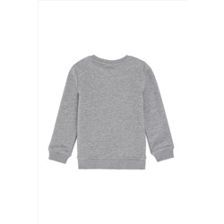 Erkek Çocuk Gri Melanj Basic Bisiklet Yaka Sweatshirt