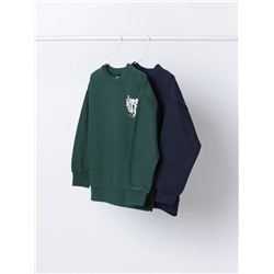 PACK OF 2 ASSORTED SWEATSHIRTS