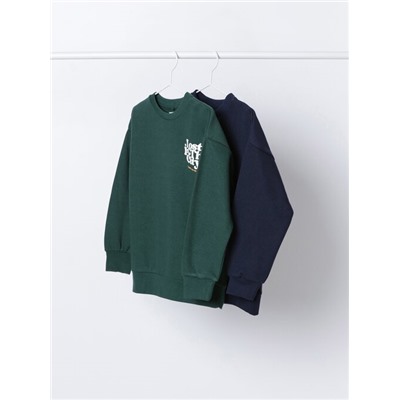 PACK OF 2 ASSORTED SWEATSHIRTS