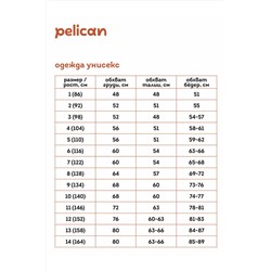 Брюки PELICAN, 917601