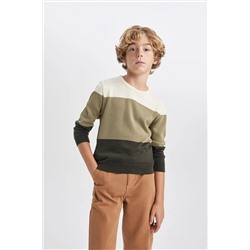Defacto Erkek Çocuk Regular Fit Bisiklet Yaka Kazak B3968A823WN